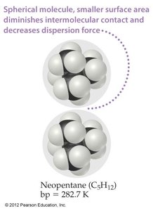 Neopentane: spherical molecule with smaller surface area and lower boiling point