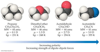 Comparison of molecules with increasing polarity and boiling points