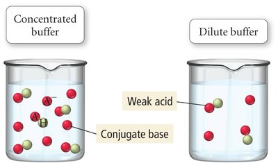 Concentrated vs. dilute buffer