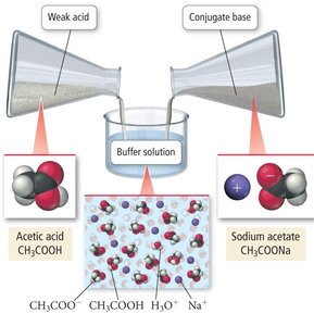 Acetic acid and sodium acetate buffer system