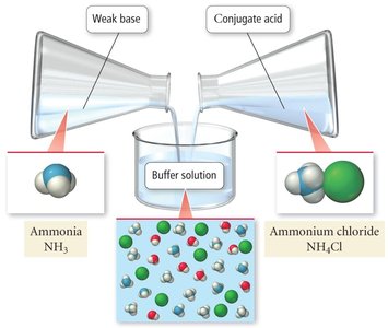 Ammonia and ammonium chloride buffer system