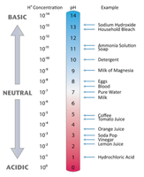 pH scale with examples