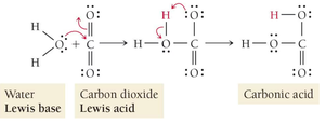 Lewis acid-base reaction: Water and carbon dioxide