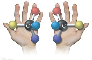Chirality illustrated with hands