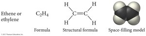 Ethene structural and space-filling model