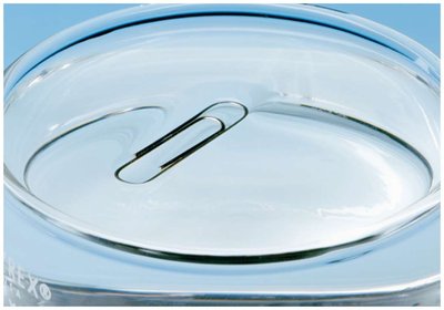Paper clip floating on water due to surface tension