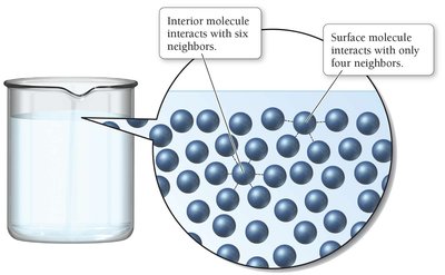 Origin of surface tension: interior vs surface molecules