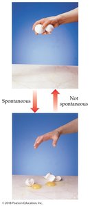 Spontaneous vs nonspontaneous process (egg drop)