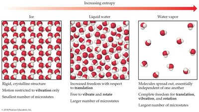Entropy increases from solid to liquid to gas
