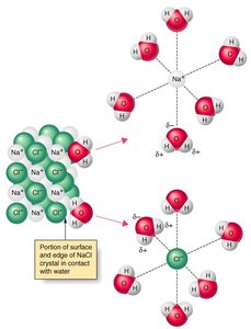 NaCl dissolving in water, showing ion-dipole interactions