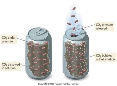 Henry's Law and gas solubility in soda can