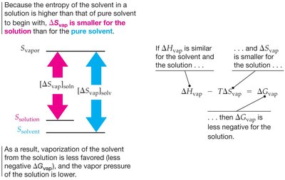 Vapor pressure lowering in solutions