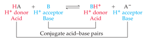 Brønsted-Lowry acid-base reaction and conjugate pairs