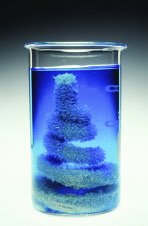 Copper wire after reaction with silver nitrate, showing silver deposition and blue solution