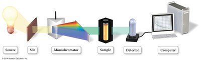 Spectrophotometer setup