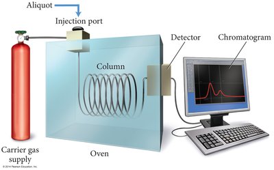 Gas chromatography setup