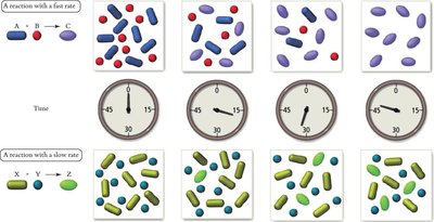 Diagram showing fast and slow reaction rates