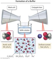 Formation of a buffer solution