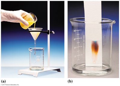 Laboratory separation of mixtures: filtration and chromatography