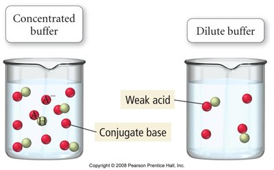 Concentrated vs. dilute buffer solutions