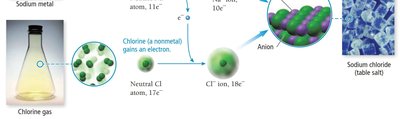Covalent bond: shared electrons between nuclei