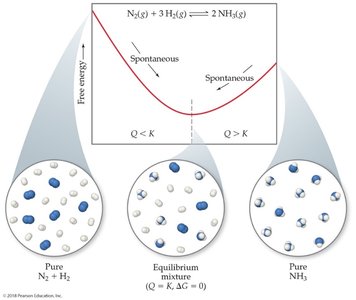 Free energy and equilibrium for ammonia synthesis
