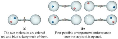 Microstates of two gas molecules