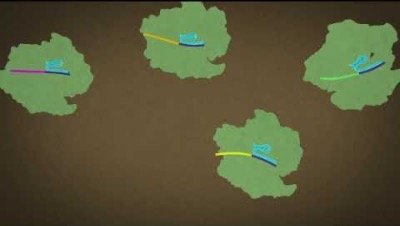 CRISPR-Cas system: acquisition, biogenesis, and interference