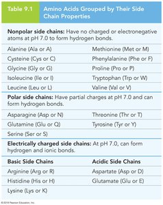 Amino acids grouped by side chain properties
