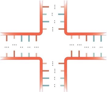 Multibranched junction structure