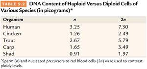Table comparing DNA content in haploid and diploid cells
