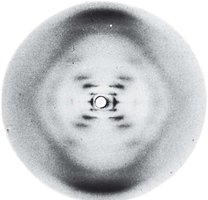 X-ray diffraction image of DNA