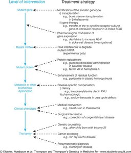 Treatment strategies for gene expression modulation using RNAi