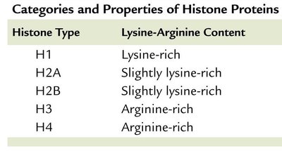 Categories and properties of histone proteins