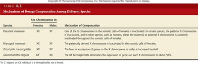 Table of dosage compensation mechanisms among species