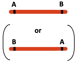 Two possible gene orders for two genes on a chromosome