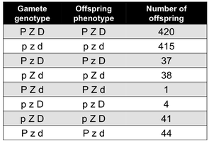 Three-point testcross data table for distance calculation