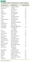 Table of haploid chromosome numbers in various organisms