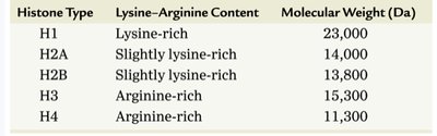 Histone types and properties table