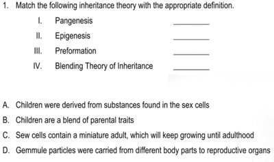 Matching inheritance theories with definitions
