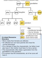 Pedigree for X-linked trait
