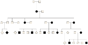 Pedigree chart example