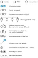 Pedigree symbols key