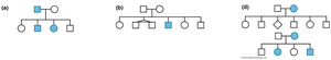 Pedigree patterns for Mendelian traits