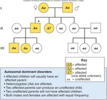 Autosomal dominant pedigree example