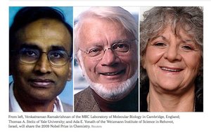 Overlapping vs non-overlapping genetic code