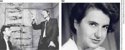 Watson, Crick, and Franklin with DNA model (faces blurred)