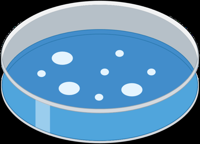 Genome assembly: contigs and scaffolds