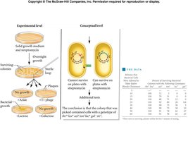 Bacterial mapping results
