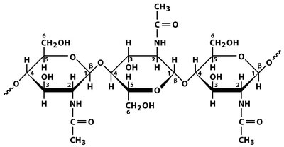 Chitin structure